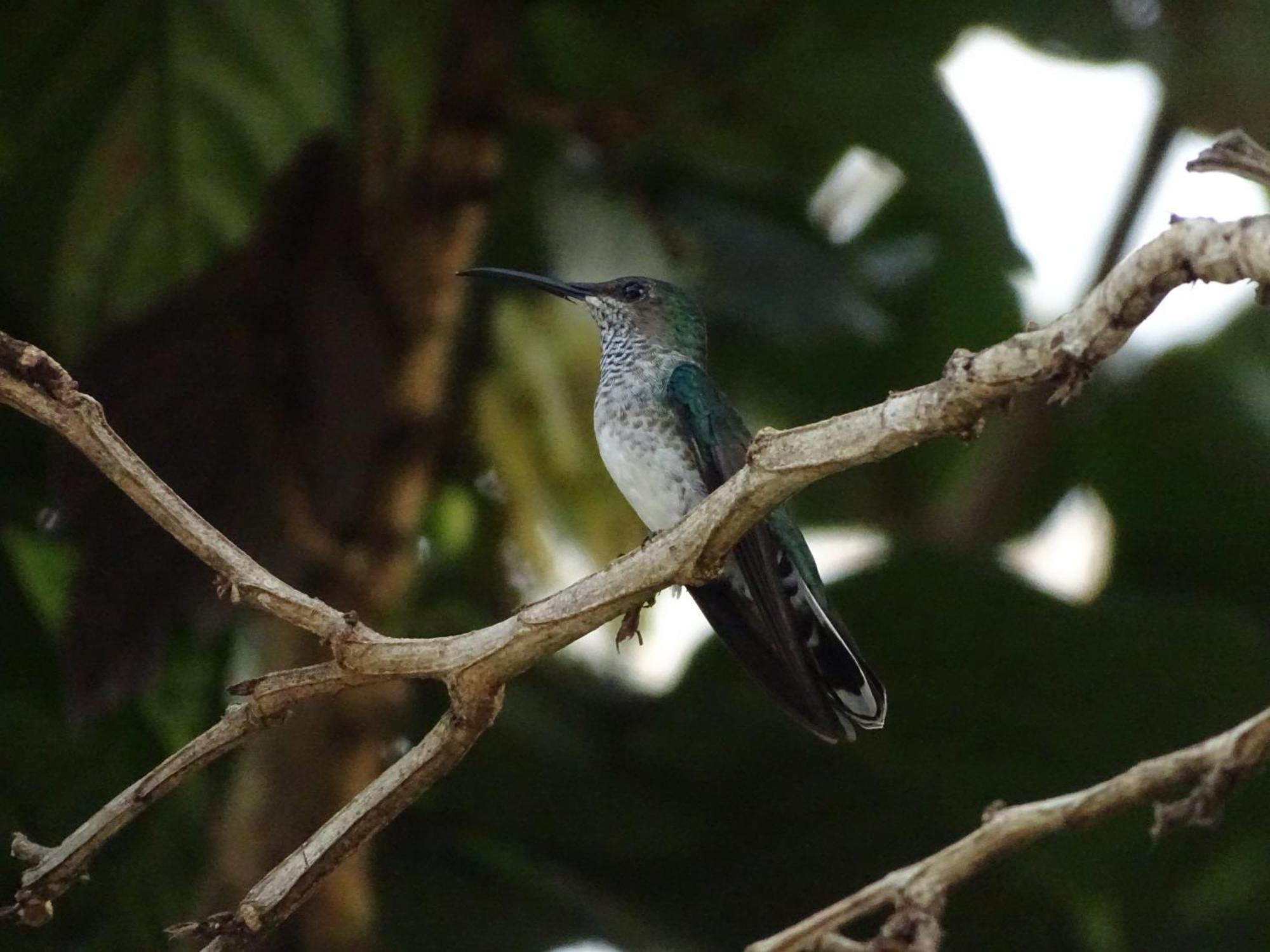 Eco Hotel Amanecer Tayrona Эль-Саино Экстерьер фото